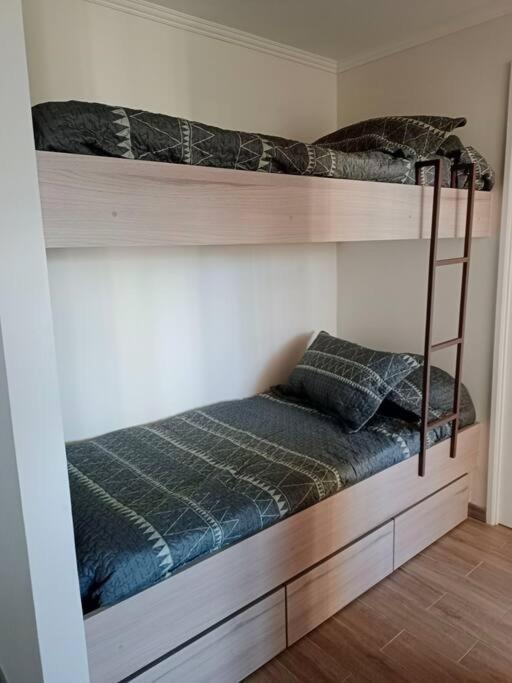 Hermoso Departamento En Privado Alicura * Pucón